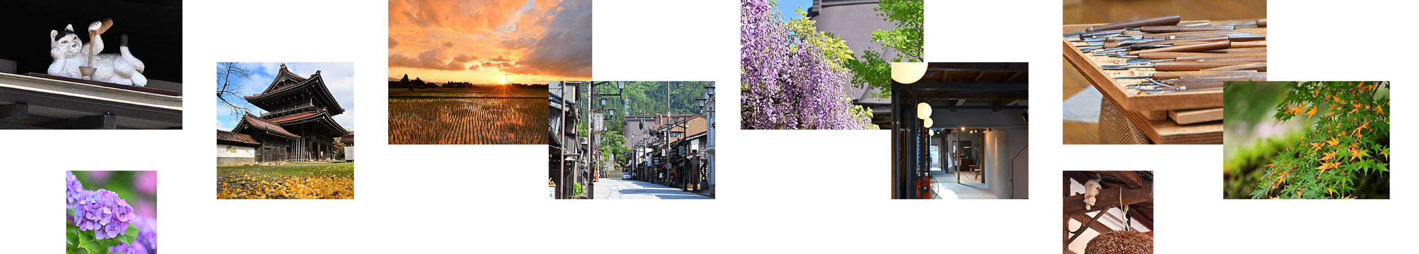 井波地域づくり協議会イメージ